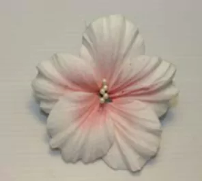 Цветок Мальва  109